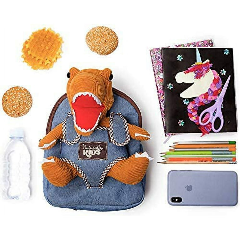 Dinosaur Toys for Kids 3-5, Dinosaur Backpack, Dinosaur Toys for Kids 2-4,  Gifts for 2 Year Old Boy