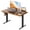 Rust, variant on CONCETTA Electric Height Adjustable Desk, 55"x24" Ergonomic Sit Stand Workstation, One-Touch Lift Home Office Desk, Oak