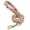 Beige, variant on Pet Artist 5ft Long Fashion Floral Pet Dog Nylon Leash Pet Walking Leashes for Small Large Dogs