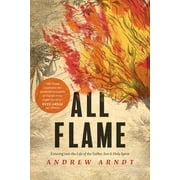 All Flame : Entering into the Life of the Father, Son, and Holy Spirit (Paperback)