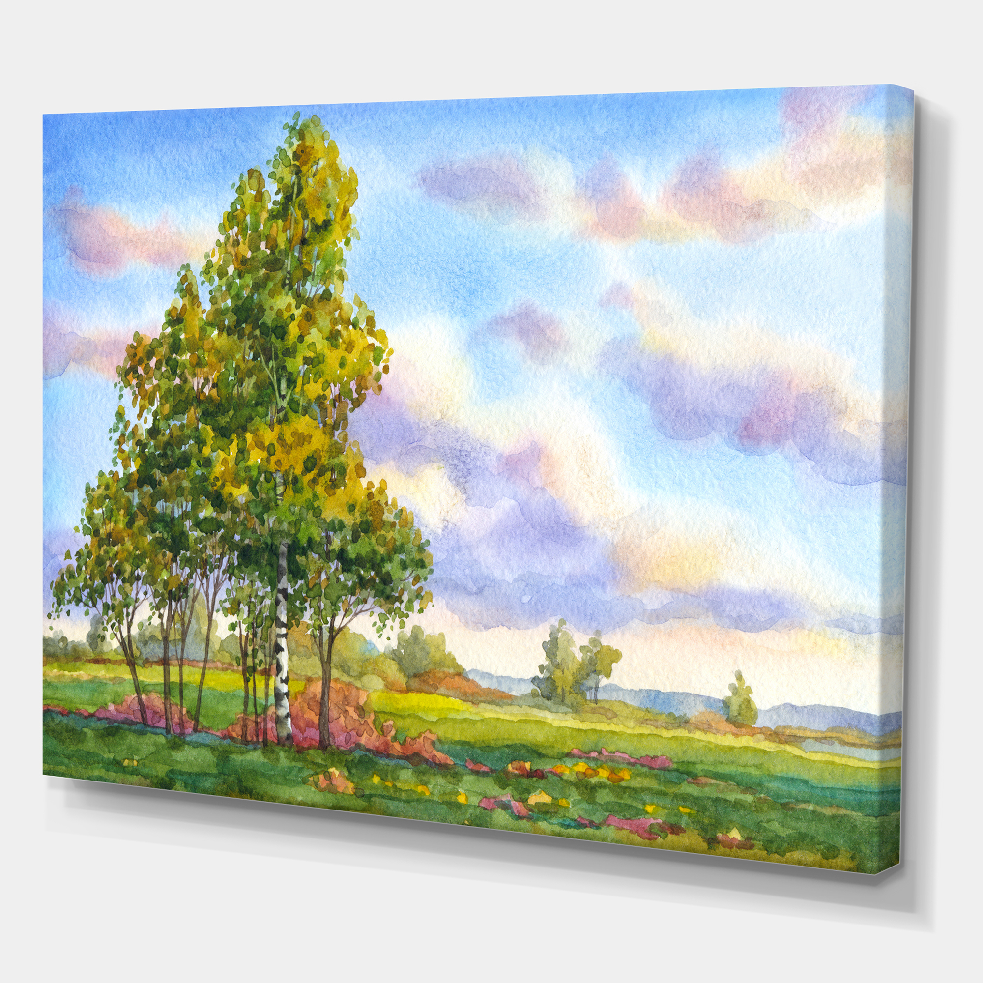 Designart ' The Trees In The Evening Landscape Field ' Traditional Canvas Wall Art Print