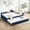 Navy + Velvet + Modern+4, variant on Pink Upholstered Daybed with Trundle Modern Diamond Grid Design for Home Bedroom Guest Room