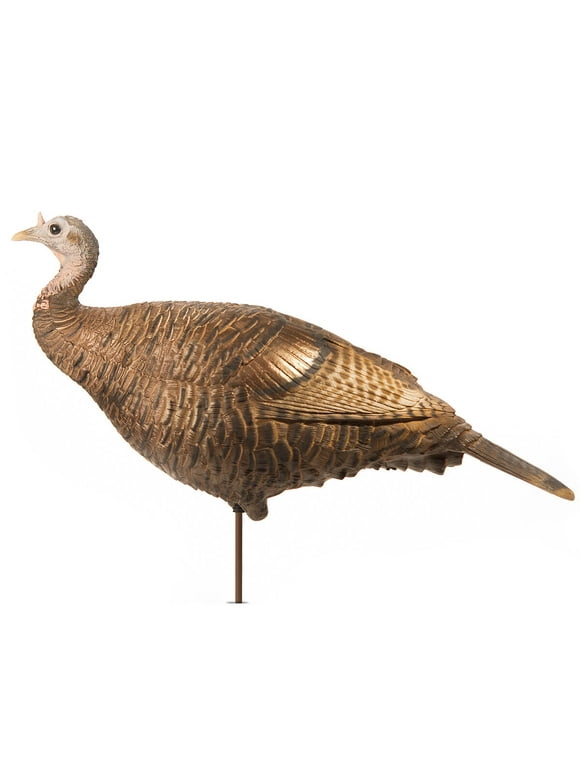 Turkey Decoys in Decoys
