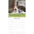 thumbnail image 3 of Red Robin 2025 Fox Terriers Wall Calendar, Premium Paper, Hangable 12 Month Calendar, 3 of 3