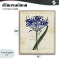 thumbnail image 4 of Stupell Industries Shabby Chic English Botany Blue Floral Gray Framed Giclee Art, 16 x 20, by Susan Arnot, 4 of 8