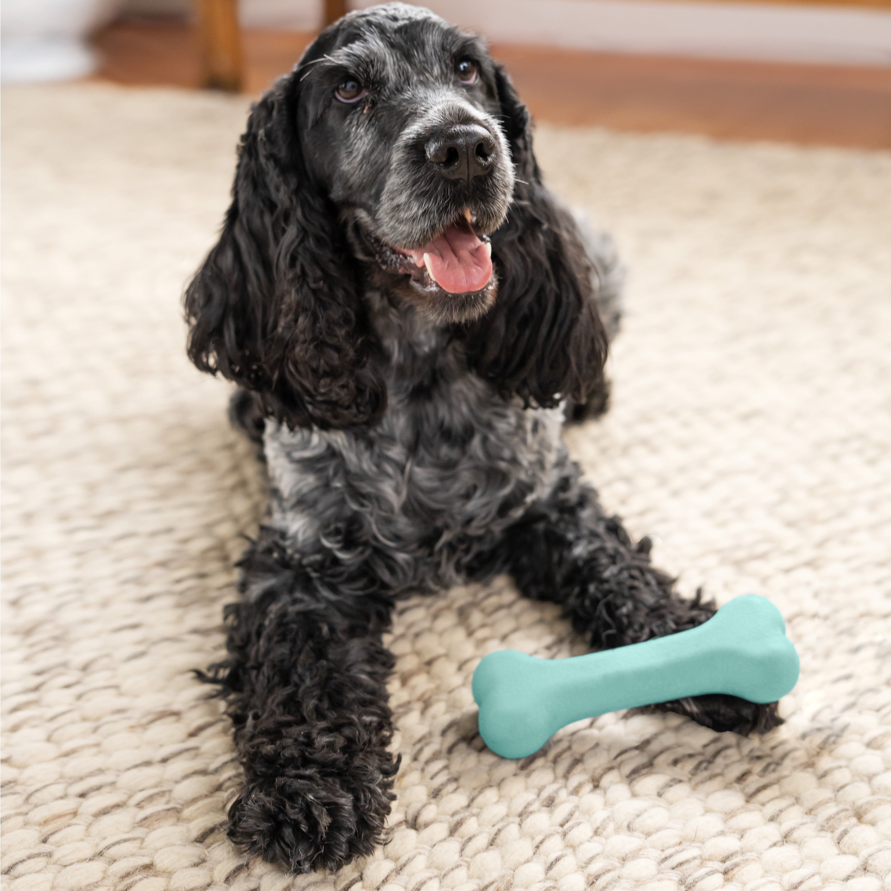 Vibrant Life Medium Blue Durable Rubber Dog Bone with Squeaker, Chew Level 3