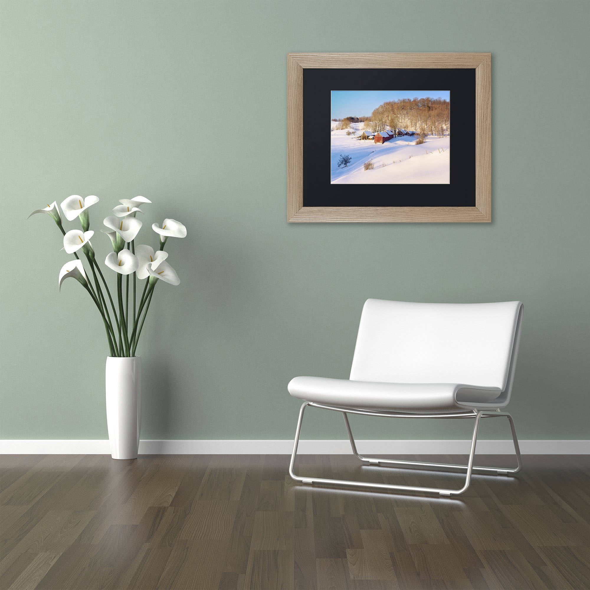 Trademark Fine Art "Jenne Farm Winter" Canvas Art by Michael Blanchette Photography Black Matte, Birch Frame