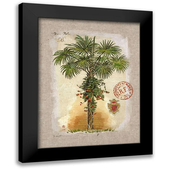 Barrett, Chad 12x14 Black Modern Framed Museum Art Print Titled - Linen Fan Palm Tree