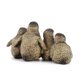 thumbnail image 5 of Figuras de juguetes de animales marinos para decorar el hogar, juguetes educativos preescolares, animales de invierno, regalo de Navidad, 5 of 5