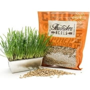 Thunder Acres Non GMO, Certified Organic, Oat Seed
