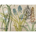 thumbnail image 2 of Jordan, Elizabeth 24x19 White Modern Wood Framed Museum Art Print Titled - Flower Botanical, 2 of 4