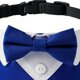 thumbnail image 3 of Perro Boda Esmoquin Bandana Cómodo Formal Mascota Pajarita Collar para Fiestas Azul Zulema Collar de pajarita para mascotas, 3 of 7