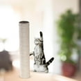 thumbnail image 2 of Cat scratching posts Replacement Sisal Rope Playing Scratch Post Refill Pole white 40cmx8cm, 2 of 9