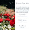 thumbnail image 2 of Ambientador para auto AirDrive Rose Garden, 2 unidades, 8 ml, 2 of 5