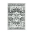 thumbnail image 6 of Tzou Area Rug 3x5 Vintage Retro Rug Indoor Door Mat Non Slip Carpet for Living Room Bedroom, Grey, 6 of 8