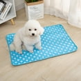 StarBay Pet Mat, Water Absorption Fast Drying, NonSlip and LeakProof