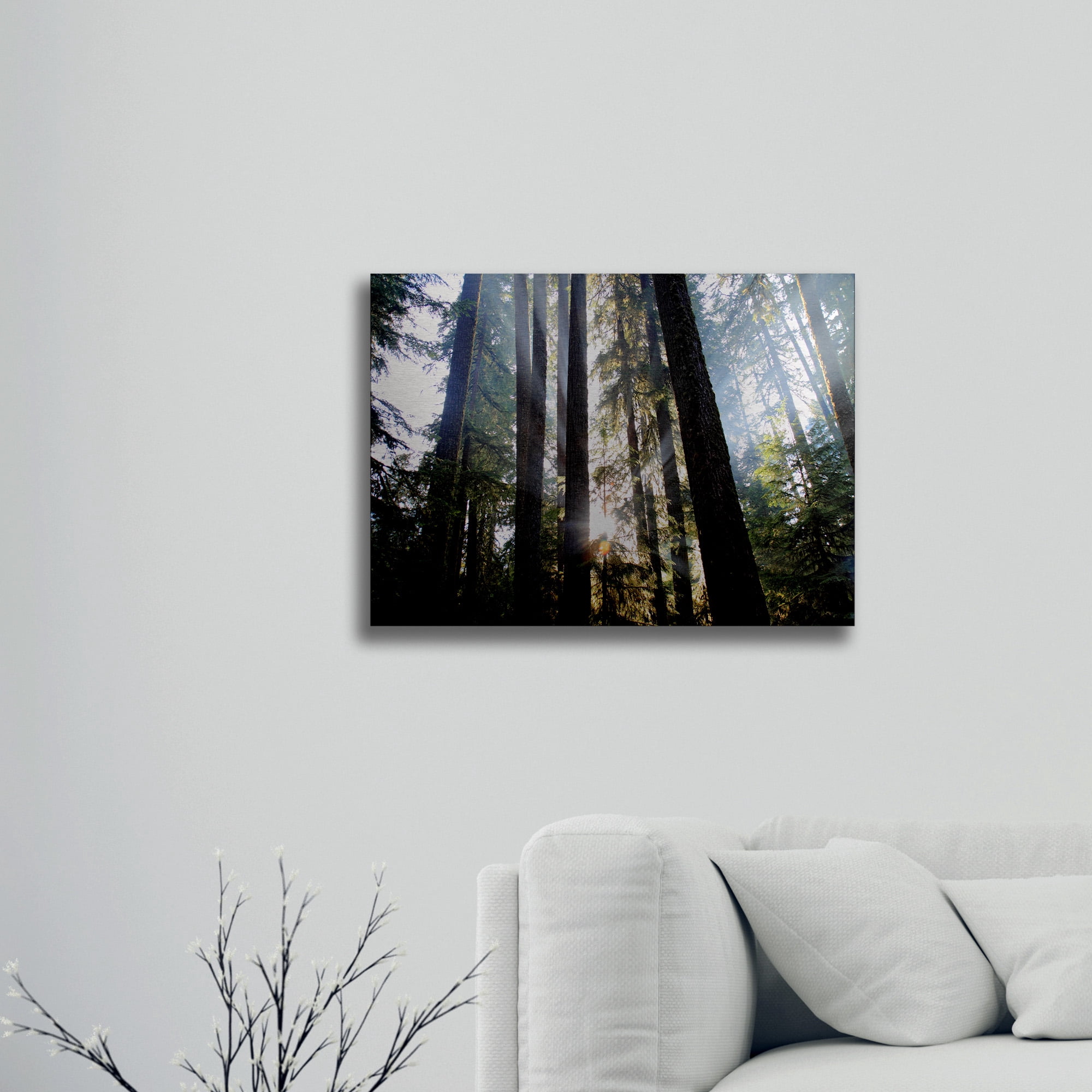 Trademark Fine Art 'Sunrays' Brushed Aluminum Wall Art Art by Pierre Leclerc