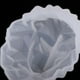 thumbnail image 3 of de silicona 3pcs Popular 3D León / / Conejo Herramientas para dar forma a jabón, 3 of 9