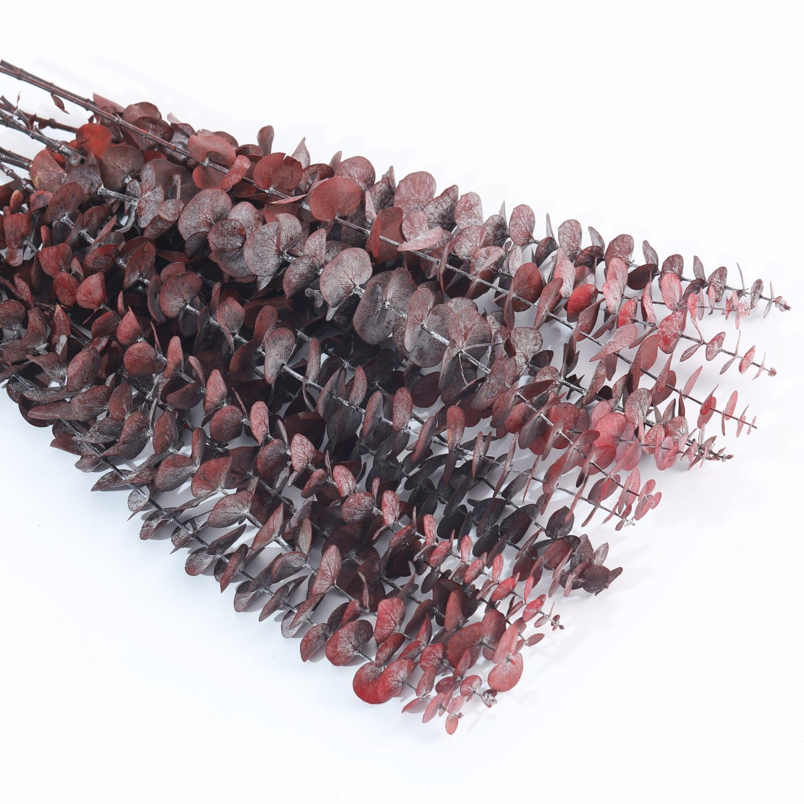 40 Pcs Red Dried Preserved Eucalyptus Stems for Shower Trianu 17'' Real Hanging Eucalyptus Leaves, 100% Natural Fresh Eucalyptus Shower Greenery Plants for DIY, Wedding, Home Vases Decor