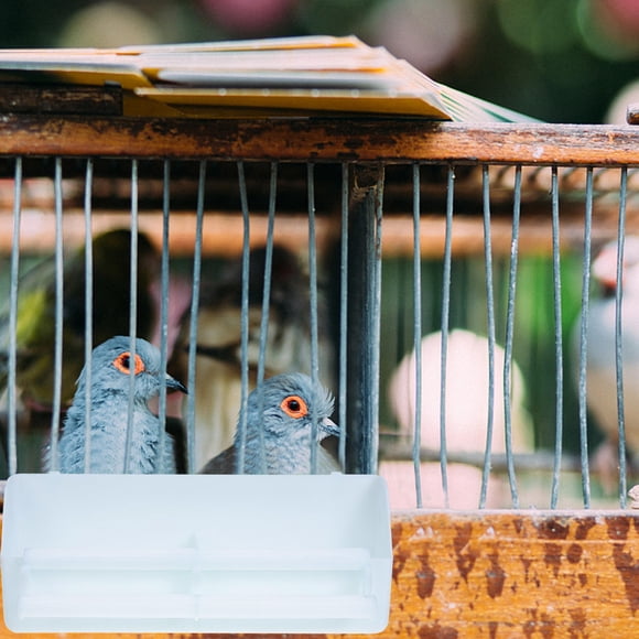 unbranded 2Ud De Comida Para Loros Con Base Para Posarse Y Accesorios Incluidos