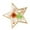 Style A, variant on Gai Iuli Caesaris Commentariorum de Bello Civili (Paperback)