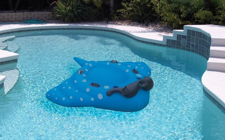 stingray float