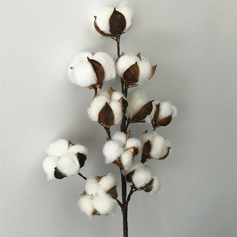 6pcs Cotton Stems, Artificial Cotton Flower Branches with Eucalyptus L –  Lasercutwraps Shop