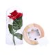thumbnail image 2 of Lámpara decorativa con rosa artificial y cubierta de vidrio, ideal para regalos románticos en San Valentín o Día de la Madre. Base de madera en color beige, luz cálida LED y función de encendido, 2 of 6