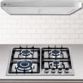 thumbnail image 5 of FLINE | Combo parrilla de gas y Campana Acero Inoxidable | 60 cm| acero inxodable| 4 quemadores | Controles boton | MA4TA60, 5 of 5