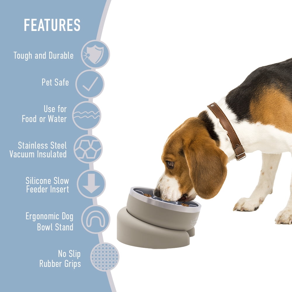 Front Row Dog Bowl with Slow Feeder-Sand