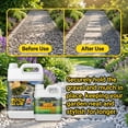 thumbnail image 2 of 35oz Heavy-Duty Non-Toxic Landscape Glue | Professional Gravel Binder for Pea Gravel, Stones, Bark & Wood Chips | Soil Erosion Stabilizer for Garden Paths, Patios & Driveways, 2 of 7