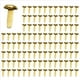 thumbnail image 1 of 4X Sujetadores de Papel de LatóN de 1/2 Pulgada, Mini Sujetadores de Papel para Proyectos de Manualidades, Suministros Decorativos para Bricolaje, 8 X 14 mm (Dorado), 1 of 6