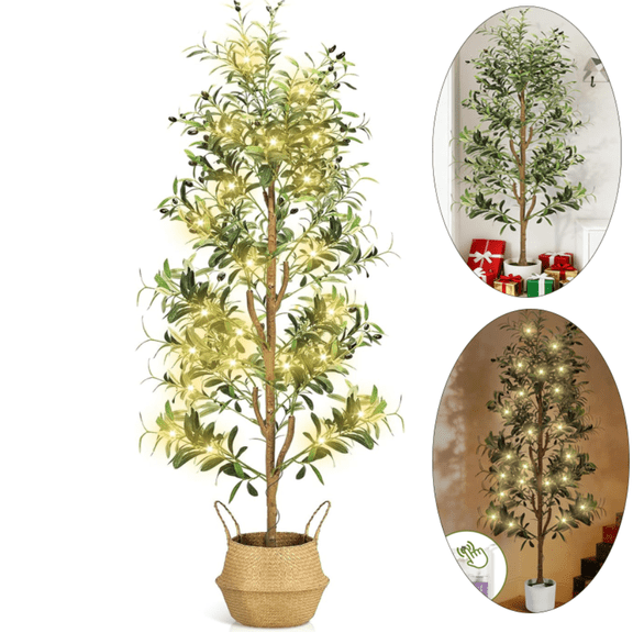 Feltoste 6FT Artificial Olive Tree with Lights -Faux Indoor Plant in Planter & Basket, Olive Trees Artificial Indoor Wood Trunk and Realistic Fruits for Home Living Room Office Decor