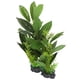 thumbnail image 2 of Simulación de acuario, hierba de agua, hoja Artificial, caja de reptiles, adorno de planta para decoración de paisaje de pecera QL2112, 2 of 5