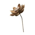 thumbnail image 3 of Flores secas para jarrón, arreglo floral, accesorio de fotografía rústico DIY para dormitorio Estilo C, 3 of 9