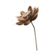 thumbnail image 3 of Ramo de flores secas Strade Fareast Limited decoración del hogar Estilo C, 3 of 8