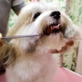 thumbnail image 3 of Dog Grooming Scissors with Safety Round Tips Stainless Steel Professional Dog Grooming Kit - Thinning, Curved Scissors and Comb for Dog Cat Pet, 3 of 8