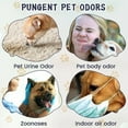 Pet odor neutralizing spray for cats and dogs. Air freshener to clean