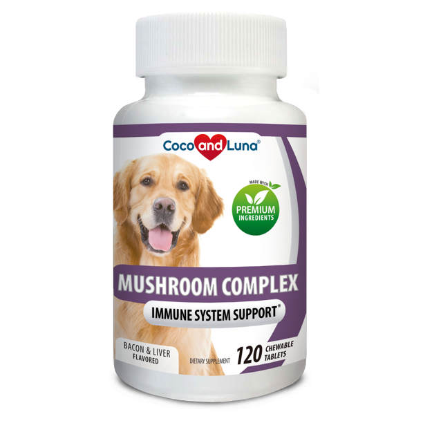 Mushroom Complex for Dogs Immune Support for Dogs With Turkey Tail
