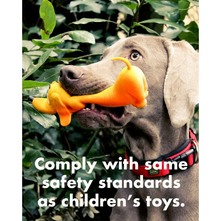 Sensory Fish - Squeaky Dog Toys - Soft, Natural Rubber (Latex) - for  Puppies, Small Dogs, Medium Dogs & Blind Dogs - Indoor Play - Complies with  Same