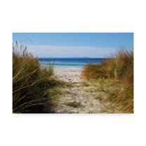 Trademark Fine Art 'To The Beach' Canvas Art by Incredi