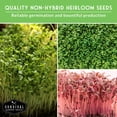 thumbnail image 4 of Microgreens Seeds Variety Pack 15 Pack - Heirloom Partial Sun Annual Vegetables, 4 of 10