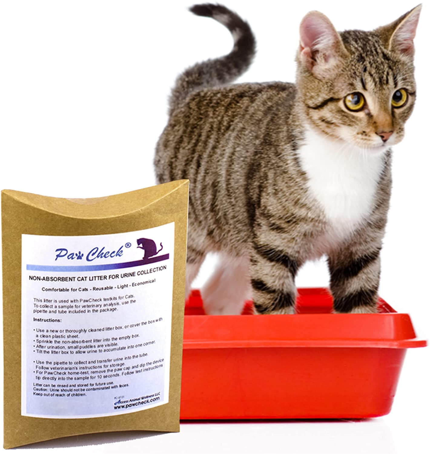 Cat missing top litter box poop