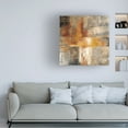 thumbnail image 2 of Silvia Vassileva 'Silver And Amber Crop' Canvas Art, 2 of 4