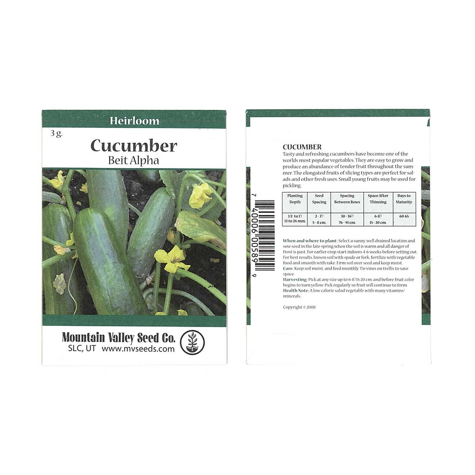 Cucumber Hasbulat F1 Hybrid NON GMO Vegetable Seeds