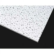 Armstrong Ceiling Tile,24 in L,24 in W,PK12 607A