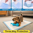 thumbnail image 3 of QOPR Puppy Pads 50 Count, 17.5” x 23.5” Super Absorbent Dog Pee Pads with Adhesive Strips, Leak-Proof Quick Dry Puppy Training Pads for Puppies & Senior Dogs, 3 of 9