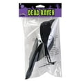 thumbnail image 4 of Realistic Giant Black Raven Bird Prop, 4 of 4