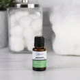 thumbnail image 6 of (3 pack) Mainstays Pure Spearmint Essential Oil, 15 ml, 1 Pack, 6 of 7