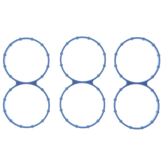 Mahle Fuel Injection Plenum Gasket Set MS19219